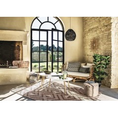 Aspirateur à réservoir industriel domestique à double usage sec et humide