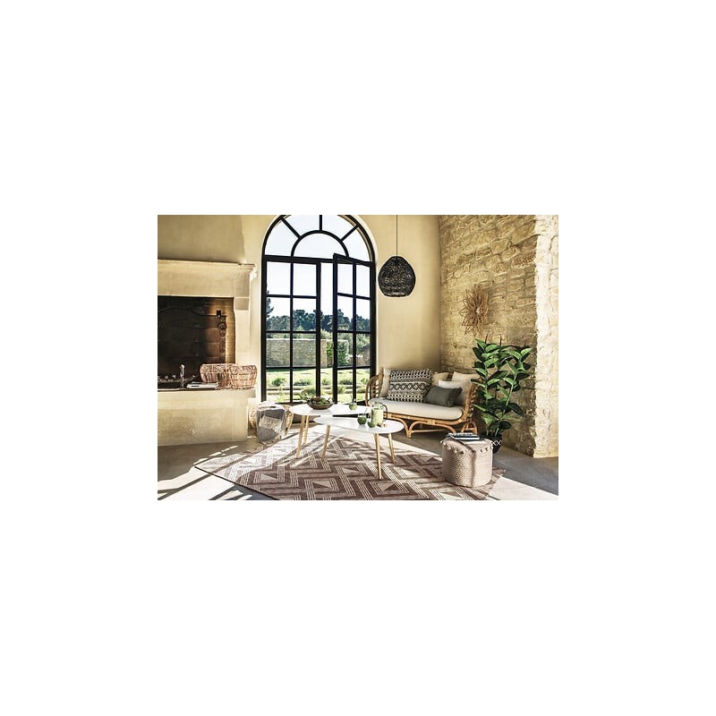 Aspirateur à réservoir industriel domestique à double usage sec et humide