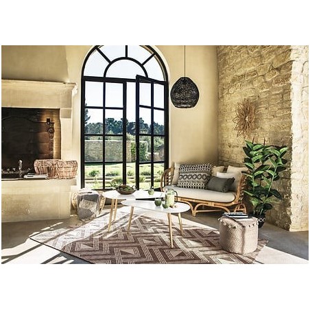 Aspirateur à réservoir industriel domestique à double usage sec et humide