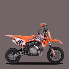 Scie à élaguer avec gaine