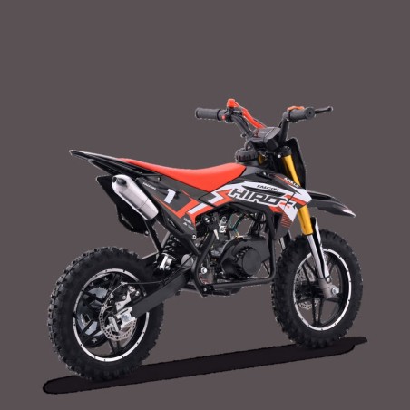 Scie à élaguer avec gaine