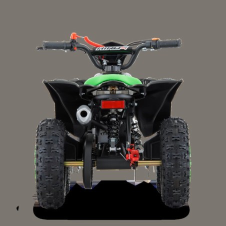 SET PISTOLET BALLE MOUSSE DINOSAURE 2 COLORIS FOREST TOYS