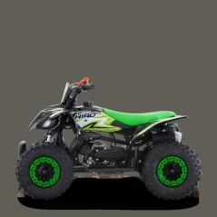 SET POUPEE 2 ASSORTIMENTS FOREST TOYS